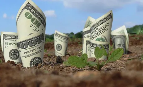 Після відкриття ринку землі вартість 1 га в Україні буде не нижче $3 тис., - депутат