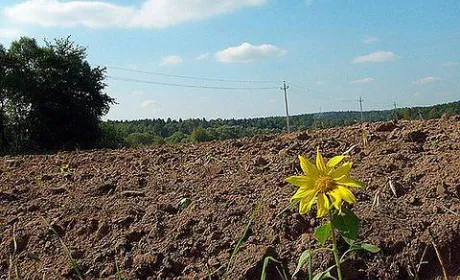 На Харківщині захоплюють агропідприємства із землею та врожаєм