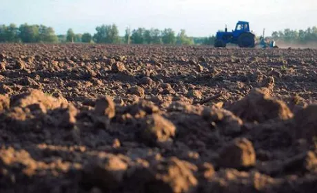 Кабмін хоче продавати українську землю іноземцям