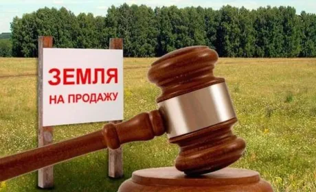 В Житомирській області відбудеться земельний аукціон