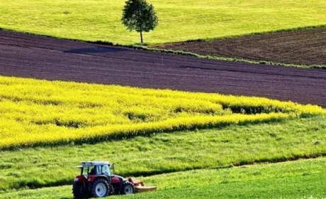 Як отримати землю безплатно та скільки вона буде коштувати: в Україні запустять ринок