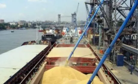Шахрайські схеми з експорту зерна розслідує слідча комісія Верховної Ради