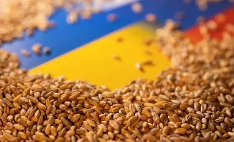 На роботу програми «Зерно з України» вже акумульовали $100 млн