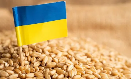 Україна готова постачати продовольство на світовий ринок навіть в умовах війни, – Сергій Кислиця