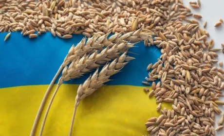Україна підпише з Польщею нову «зернову угоду»
