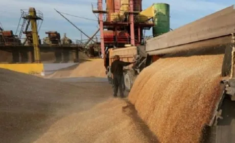 Продукція приватних агрохолдингів піде на експорт першою