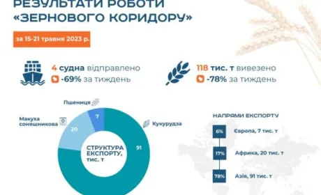 Зерновий коридор досі повноцінно не працює