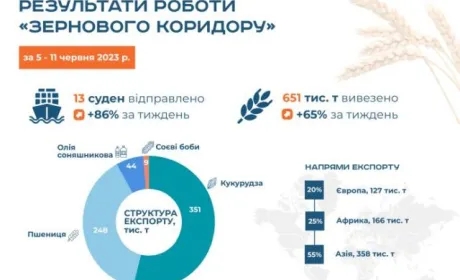 Обсяги завантаження суден зерном зростають, однак залишаються нижче середнього рівня
