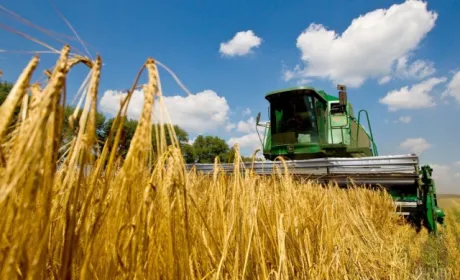 У 2019 році аграрії Вінниччини зібрали понад 6 мільйонів тонн зернових культур