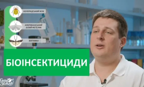 Нова серія курсу «Про мікроби просто» від БТУ-ЦЕНТР уже на YOUTUBE