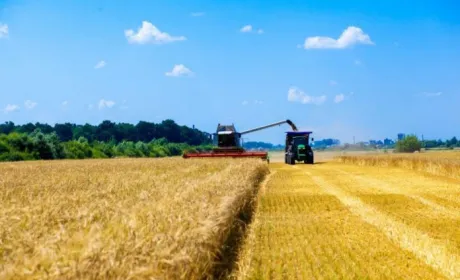 На Миколаївщині завершено збирання ранніх культур