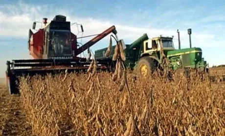В Україні зібрали вже майже 36 млн тонн зерна