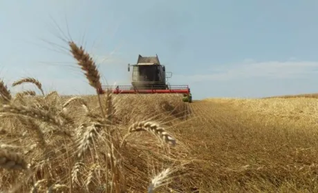 Аграрії Вінниччини намолотили перший мільйон тонн зерна
