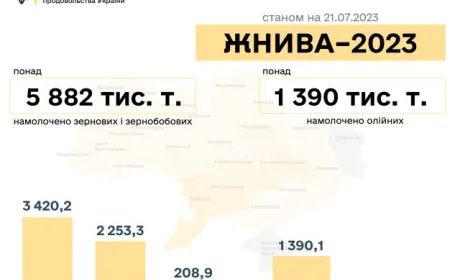 В Україні зібрали майже 6 млн тонн зерна