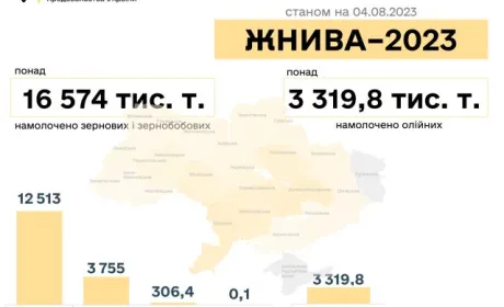 В Україні зібрали понад 16 млн тонн зерна