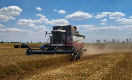 Особливих надій на високий урожай немає: в Миколаївській області завершують збір ранніх зернових та зернобобових