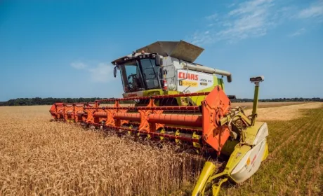 У Вінницькій області врожай зерна досяг майже 750 тис. тонн
