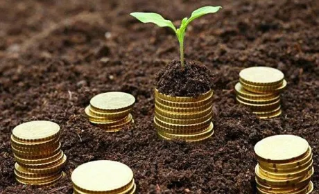 З початку року 22% «Доступних кредитів» видали підприємствам, які працюють в зоні воєнного ризику