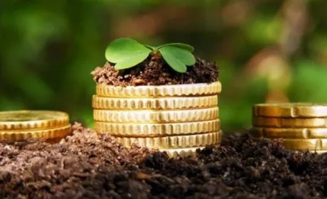 Названо ціну 1 га землі після старту земельної реформи