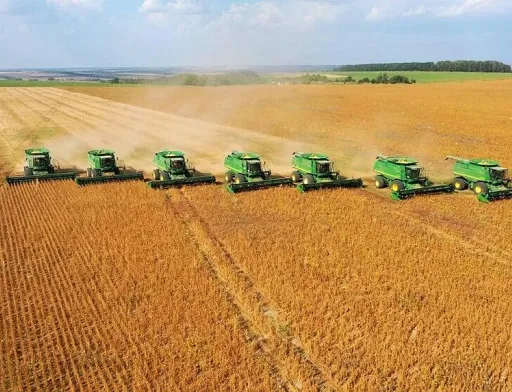 Аналіз аграрного ринку України: зміни цін та попиту на основні культури