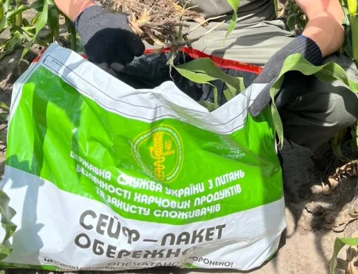 Житомирщина : державні фітосанітарні інспектори проводять обстеження посівів кукурудзи відповідно протоколу фітосанітарних та інспекційних вимог щодо експорту до КНР