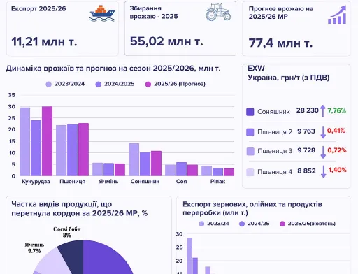 Підсумки жовтня на ринку зернових та олійних