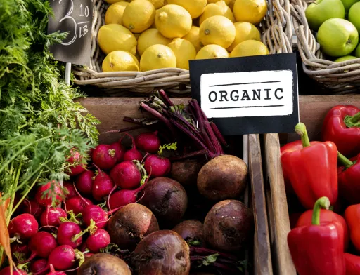 Експорт української органічної продукції відновлюється