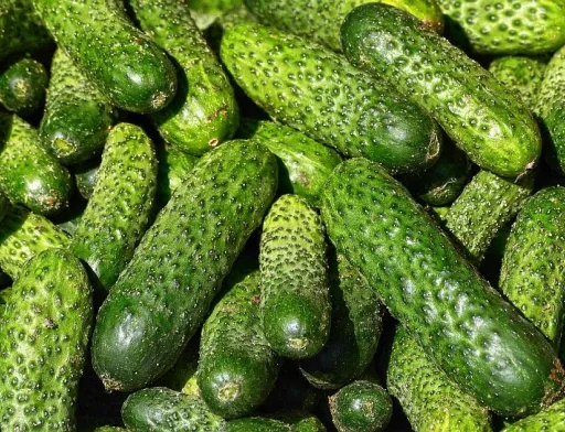 Ціни на тепличні огірки продовжують зростати