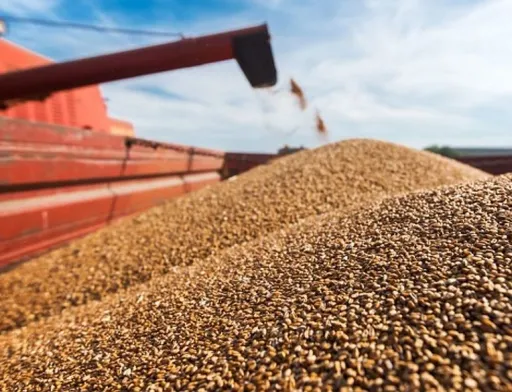 Світовий урожай пшениці б'є рекорди: прогнози USDA знову зросли