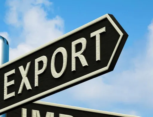Аграрний експорт України на початку 2026 року зріс у вартості на 9,3%, – Тарас Висоцький