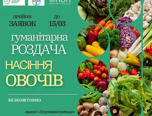 Домогосподарства з постраждалих громад безкоштовно отримають насіння овочів для посівної: Як подати заявку
