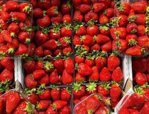 Український ринок суниці: чому імпорт залишається критично важливим