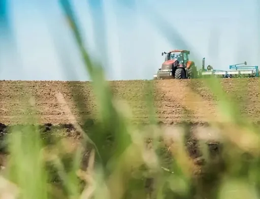 Ярими культурами засіяно вже понад 460 тис. га
