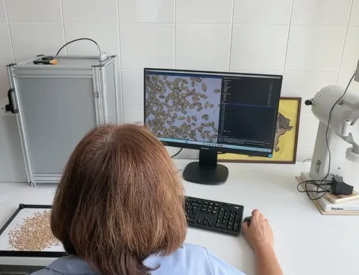 ШІ-система в роботі. Працівник лабораторії перевіряє автоматичну класифікацію домішок на екрані. (Фото: GrainODM)