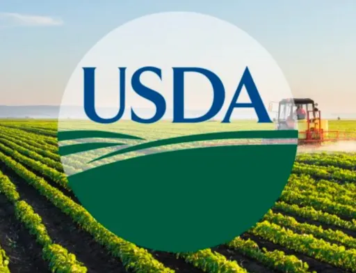 Перший прогноз від USDA на 2026/27 МР
