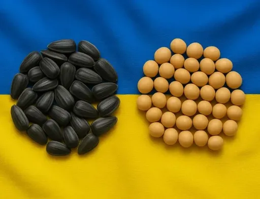 Уряд спростив механізм підтвердження права на звільнення агровиробників від експортного мита на сою та ріпак