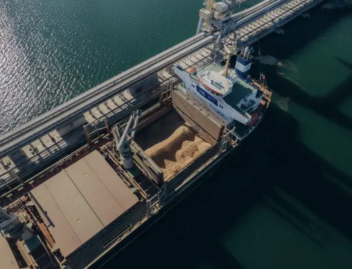 Українським морським коридором перевезли вже понад 117 мільйонів тонн зерна
