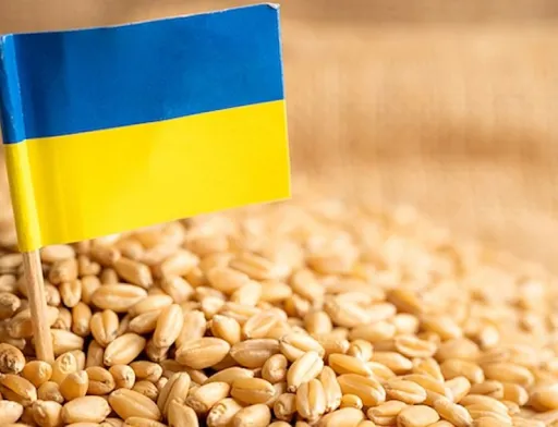Сезонний фактор в дії: експорт української агропродукції у травні просів на 8,6%