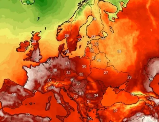 Аномальна спека в Європі знижує прогнози врожаю зерна