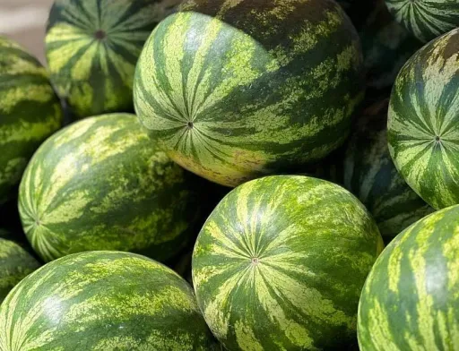 Кавуни стрімко витісняють картоплю з топу продажів