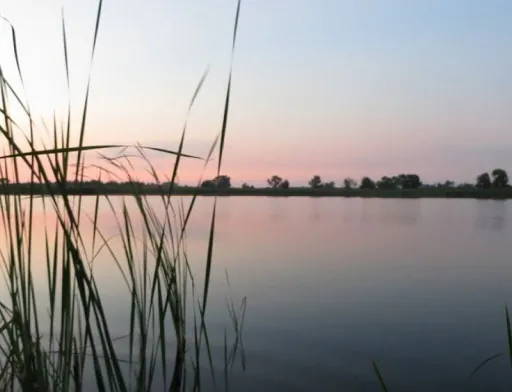 Понад 22,8 мільйона гривень спрямують на зариблення українських водойм