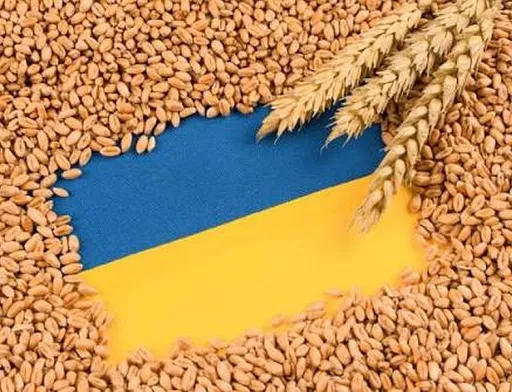 Альтернативні маршрути та рукави зберігання: як агросектор долає нову портову кризу