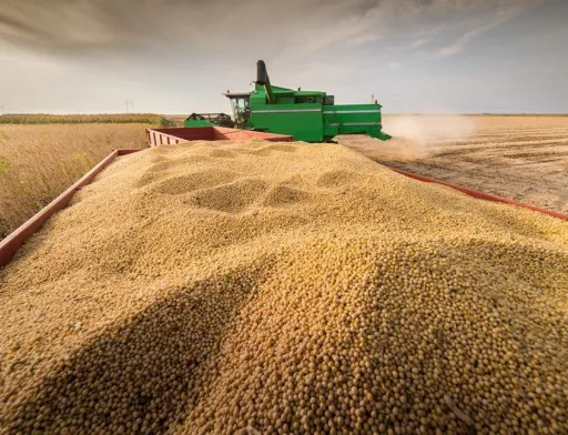 Україну чекає скорочення аграрного експорту через проблеми з морською логістикою