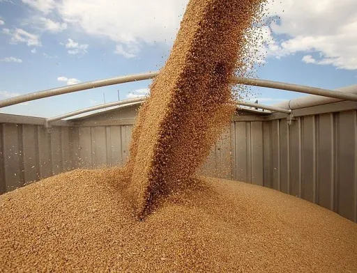 USDA оновило прогноз для України: експорт зерна знизиться через ризики в Чорному морі