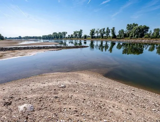 Рівні води на окремих річках України впали до історичного мінімуму