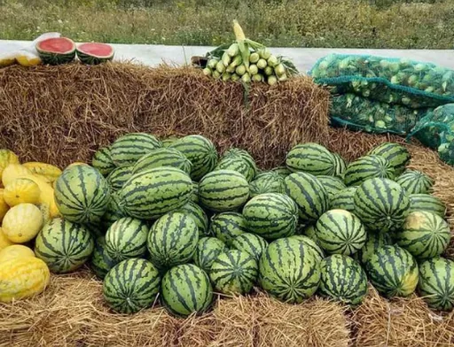 Україна очолила рейтинг найактивніших торговців плодоовочевою продукцією
