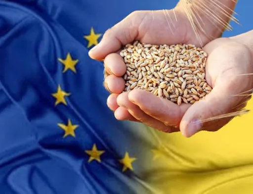 Україна вичерпала квоту на безмитні поставки пшениці до ЄС