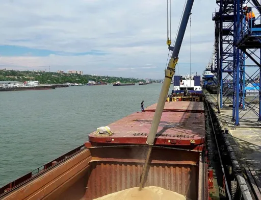 Україні потрібно терміново домовитися з ЄС і Туреччиною для відновлення експорту зерна – Леонід Козаченко