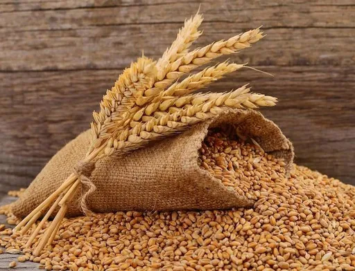 Україна може недопоставити 9 млн тонн агропродукції за три місяці, - УКАБ