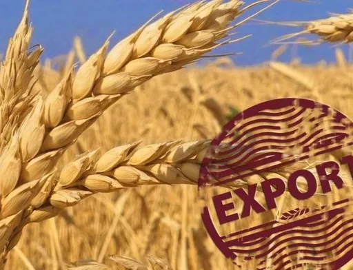Експорт українського зерна перевищує торішні показники